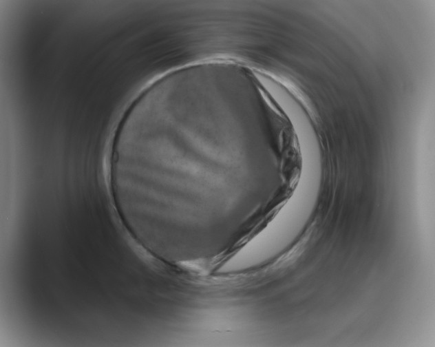 X0000088691054200706281959