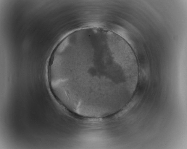X0000088691055200706281959