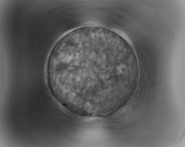X0000088691056200706281959