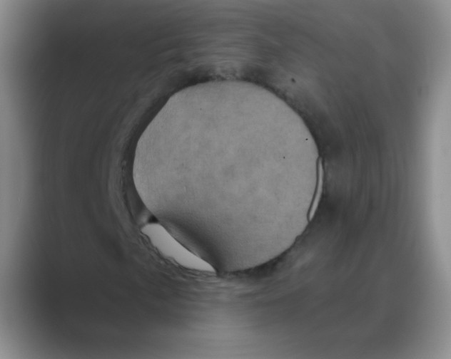 X0000088691057200706281958