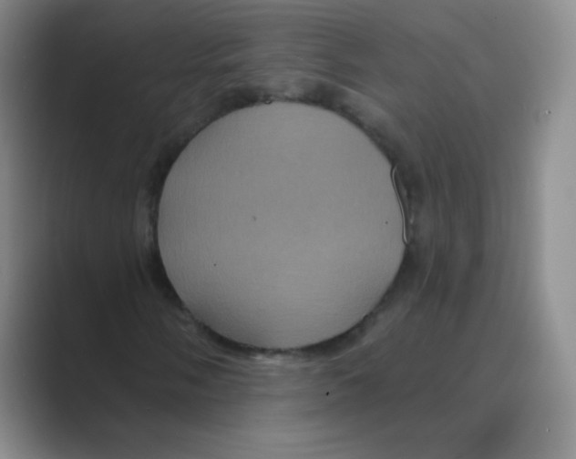 X0000088691058200706281958