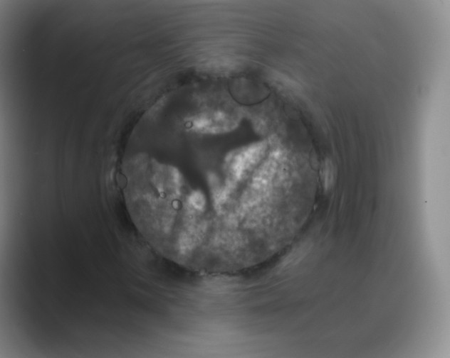 X0000088691059200706281958