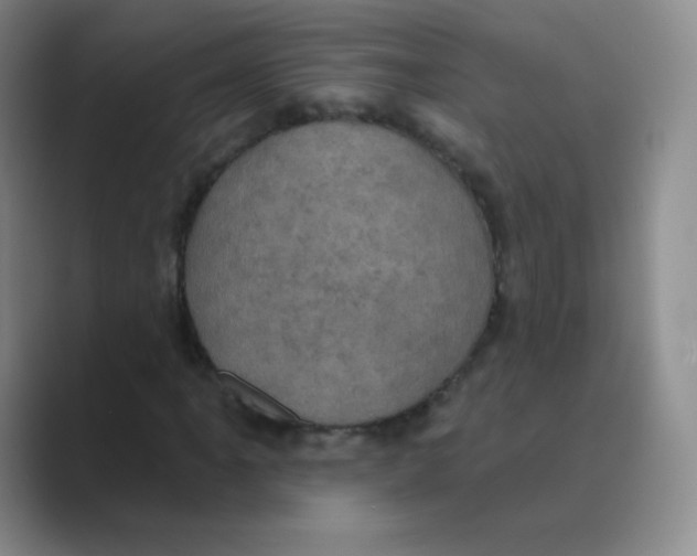 X0000088691061200706281958