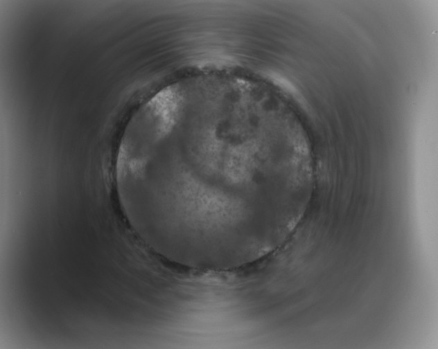 X0000088691063200706281958