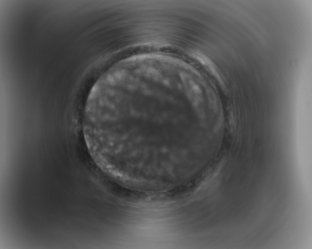 X0000088691064200706281958
