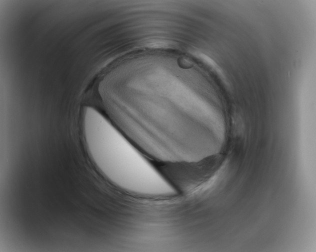 X0000088691065200706281958