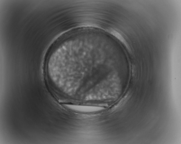 X0000088691068200706281958
