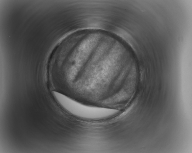 X0000088691069200706281958