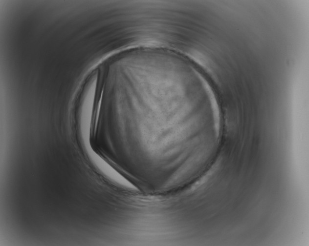 X0000088691070200706281958