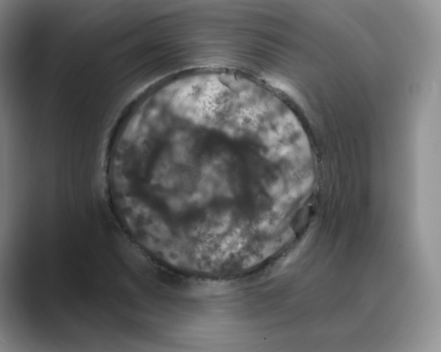 X0000088691071200706281958