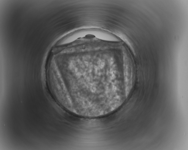 X0000088691072200706281958