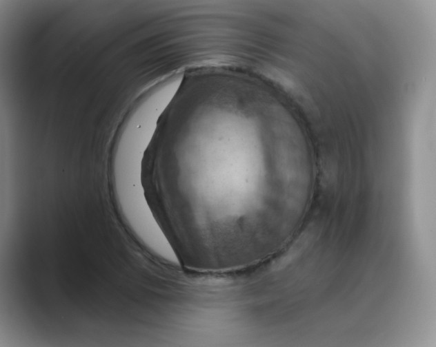 X0000088691073200706281958