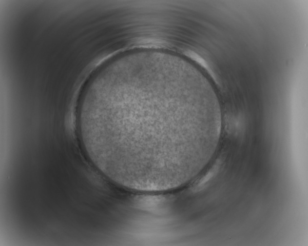 X0000088691074200706281958