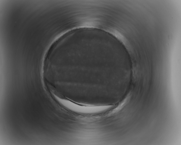 X0000088691077200706281958