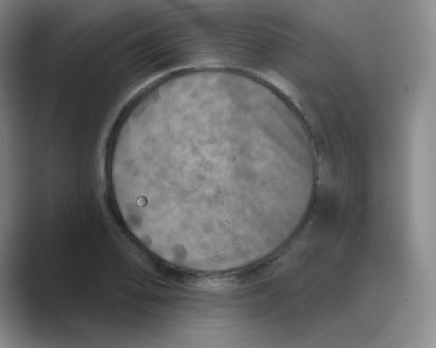 X0000088691078200706281958