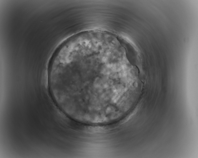 X0000088691079200706281958