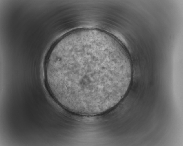 X0000088691080200706281958