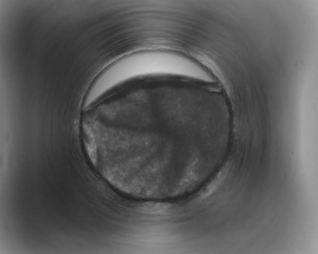 X0000088691081200706281958