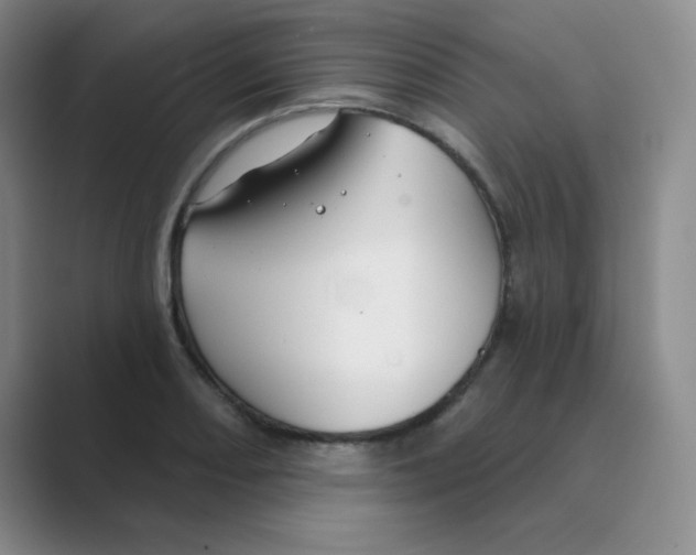 X0000088691082200706281958