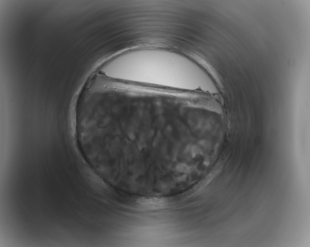 X0000088691083200706281958