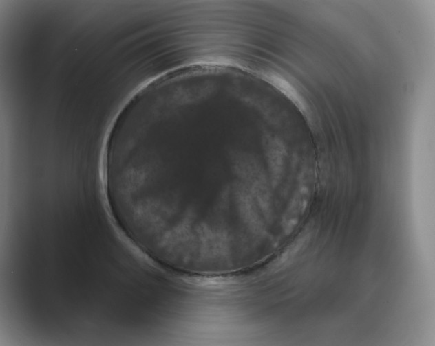 X0000088691084200706281958