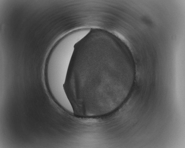 X0000088691085200706281958