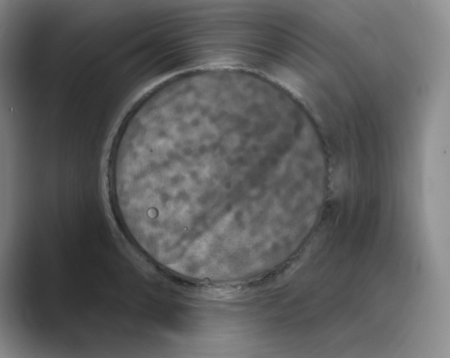 X0000088691086200706281958