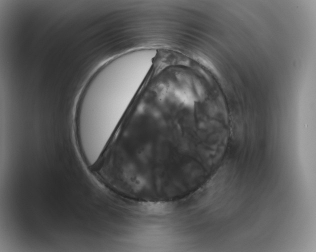 X0000088691087200706281958