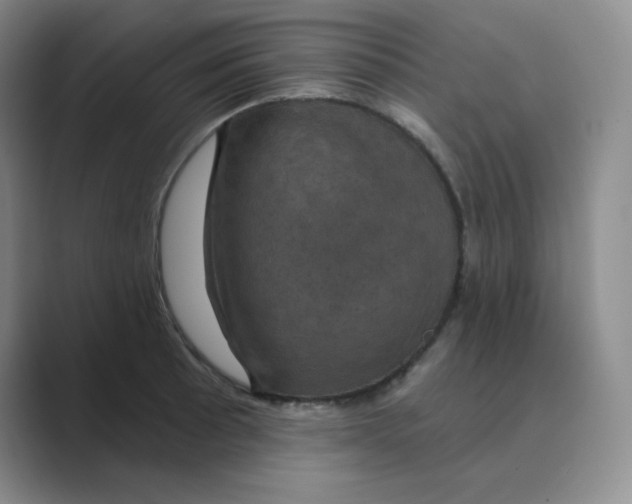 X0000088691089200706281957