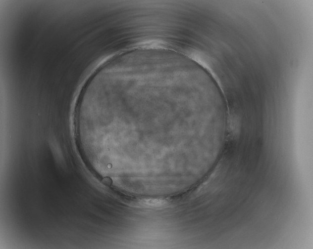 X0000088691090200706281957