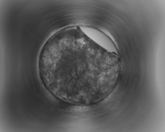 X0000088691091200706281957