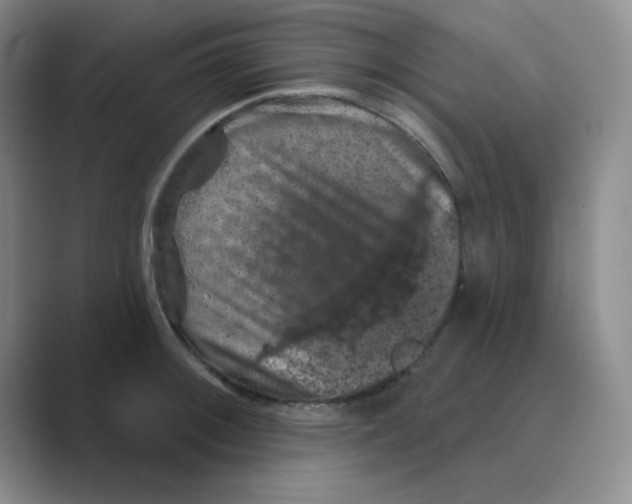 X0000088691092200706281957