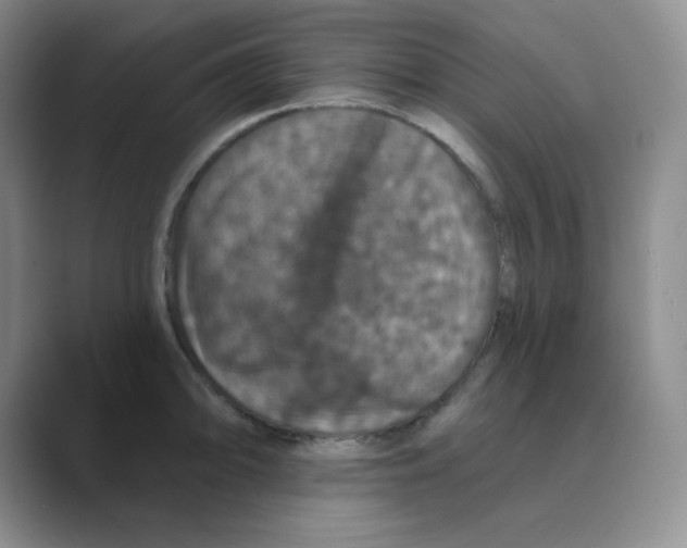 X0000088691094200706281957