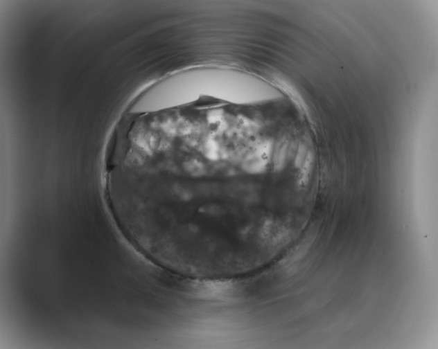 X0000088691095200706281957