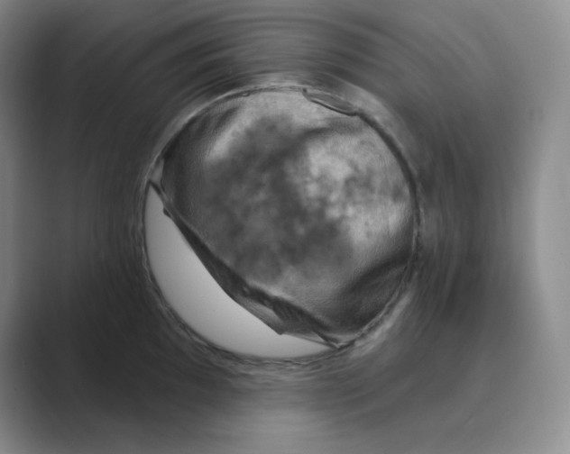 X0000088691097200706281957