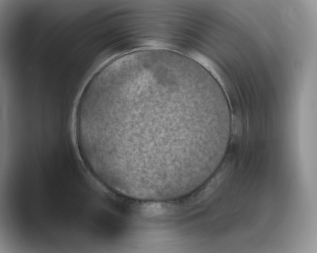 X0000088691098200706281957