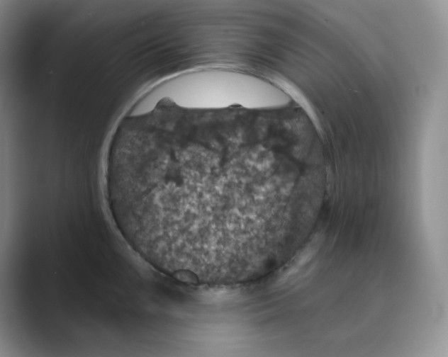 X0000088691099200706281957