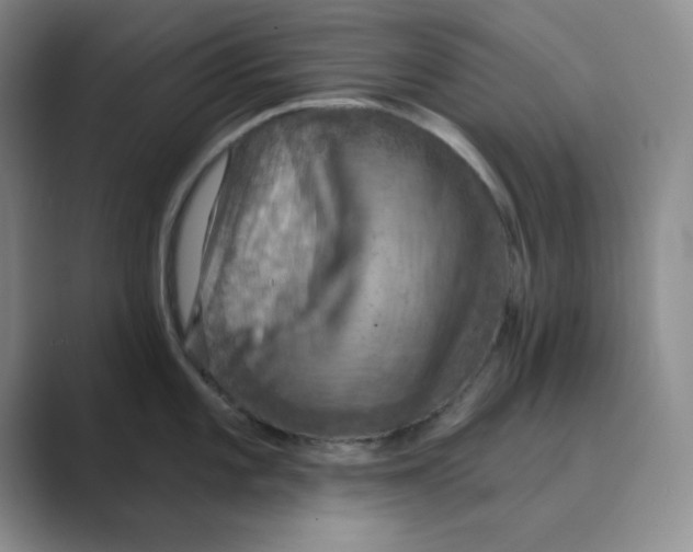 X0000088691101200706281957