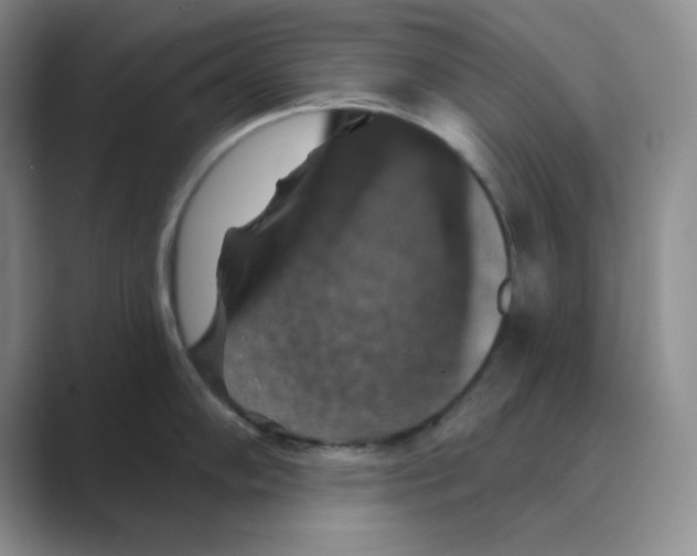 X0000088691102200706281957