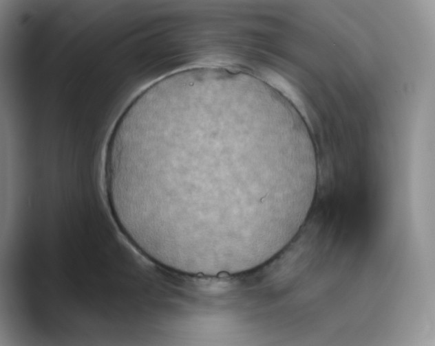 X0000088691103200706281957