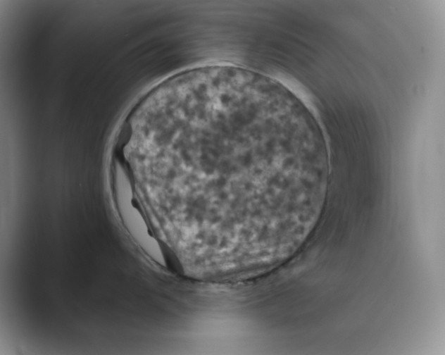 X0000088691104200706281957