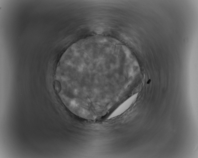 X0000088691105200706281957