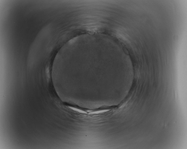 X0000088691106200706281957