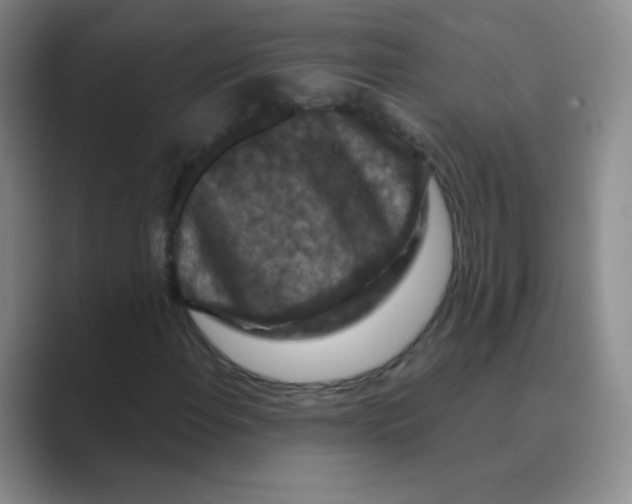 X0000088691108200706281957