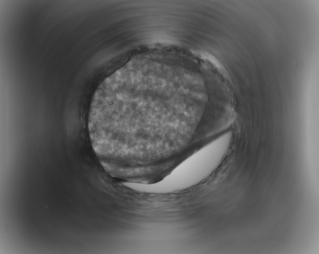 X0000088691112200706281957