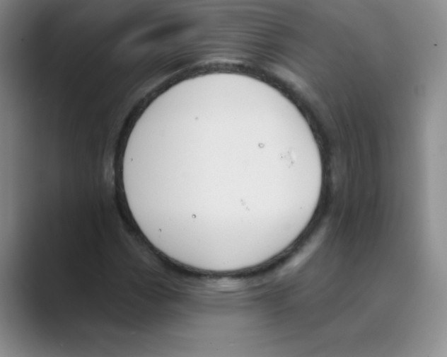 X0000088691113200706281957