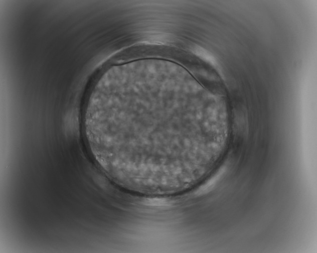X0000088691114200706281957