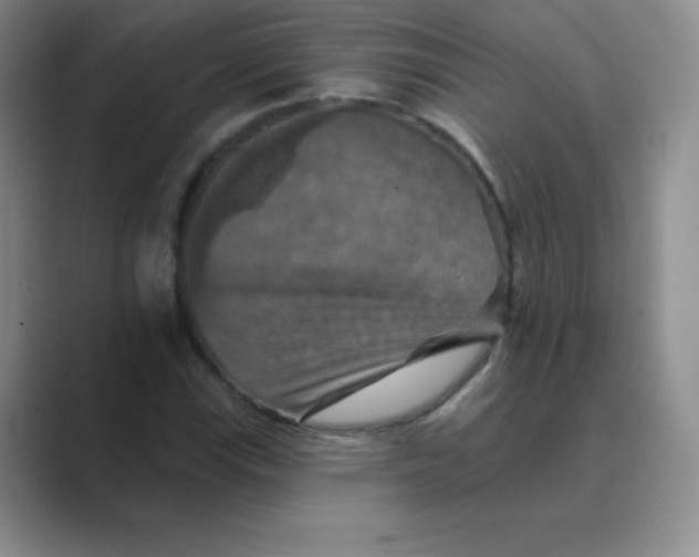 X0000088691115200706281957
