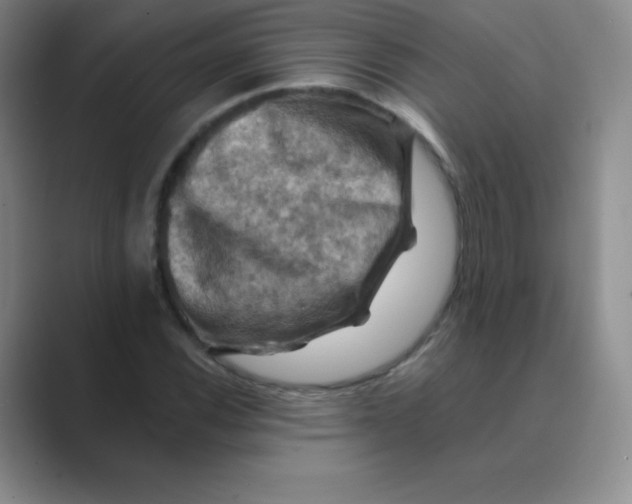 X0000088691116200706281957