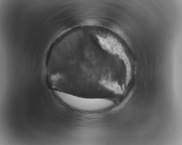 X0000088691117200706281957
